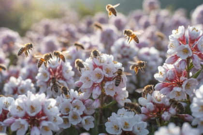 Descubra os Segredos da Flor do Mel e Outras Maravilhas para o Seu Oásis Verde