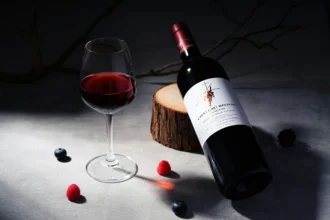 Taça e garrafa de vinho tinto em cenário escuro, com frutos vermelhos e azuis, ilustrando temperatura ideal para servir.