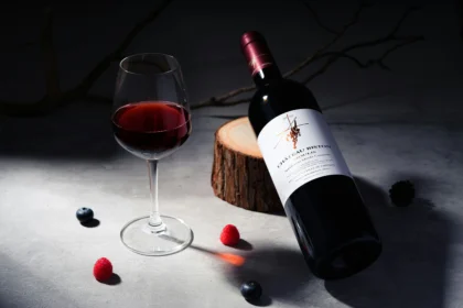 Taça e garrafa de vinho tinto em cenário escuro, com frutos vermelhos e azuis, ilustrando temperatura ideal para servir.